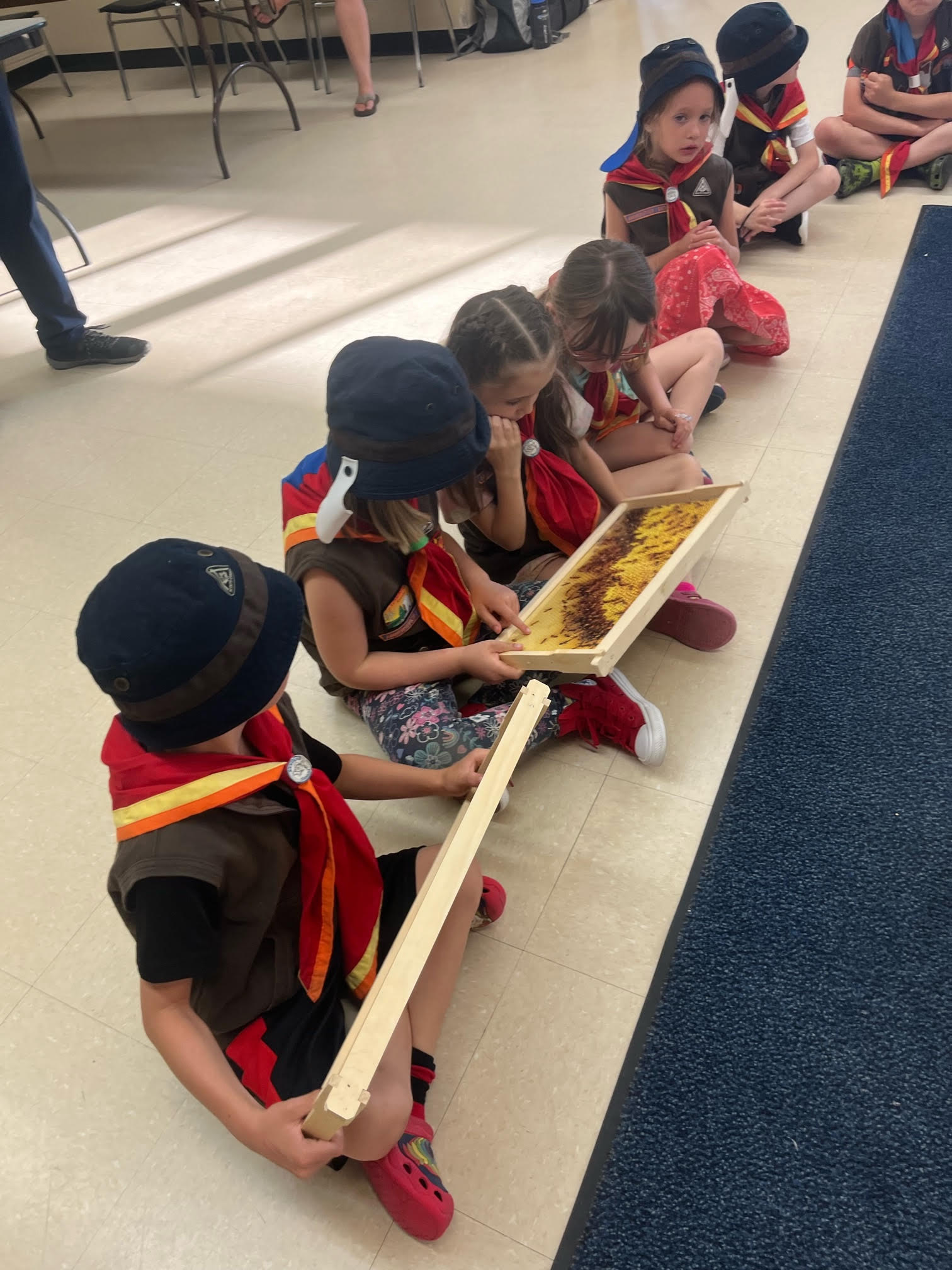 Honey Bee Experience - Maplescapes Farm Odessa