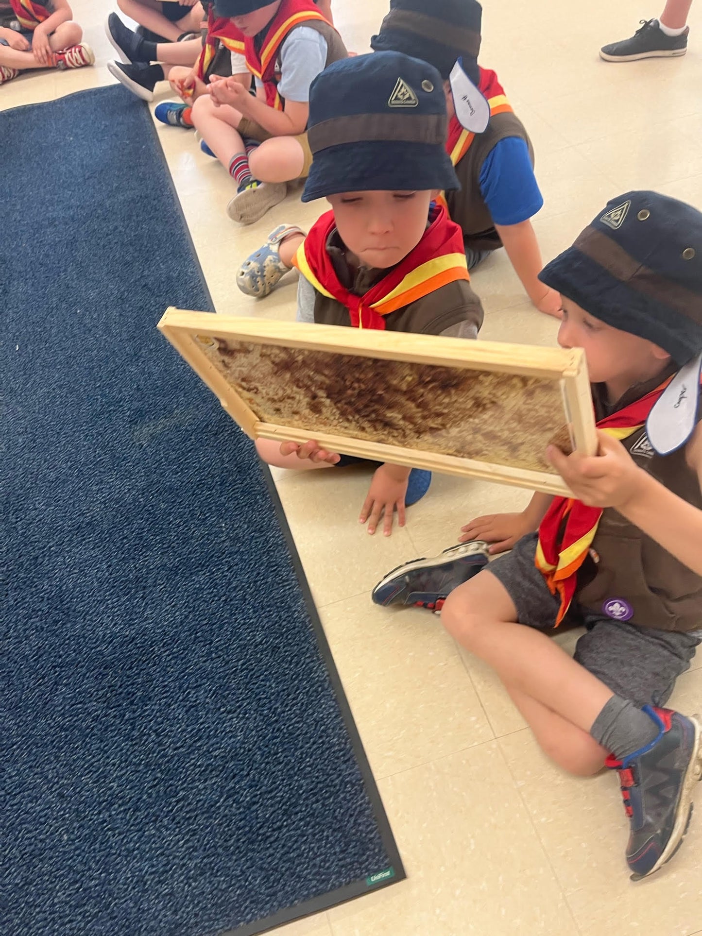 Honey Bee Experience - Maplescapes Farm Odessa