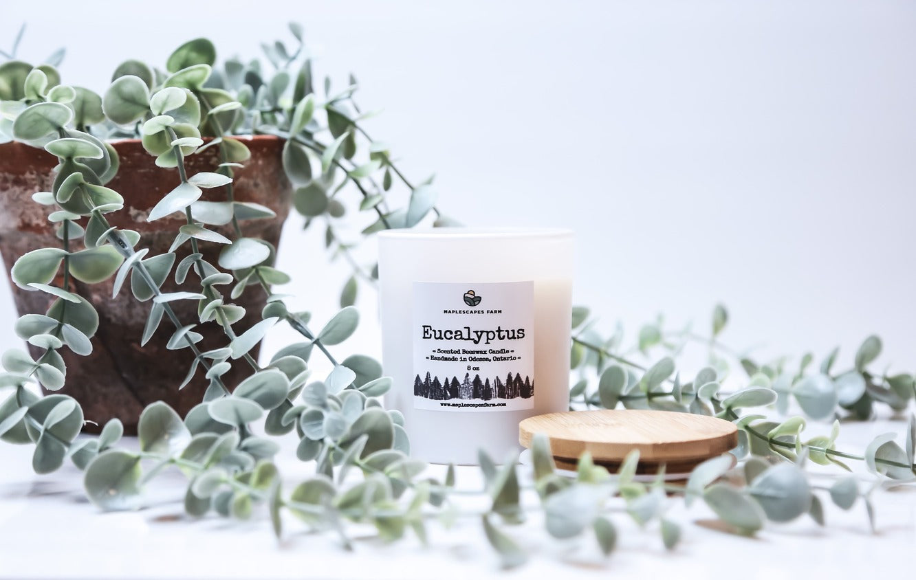 Beeswax Candle - Maplescapes Farm Odessa