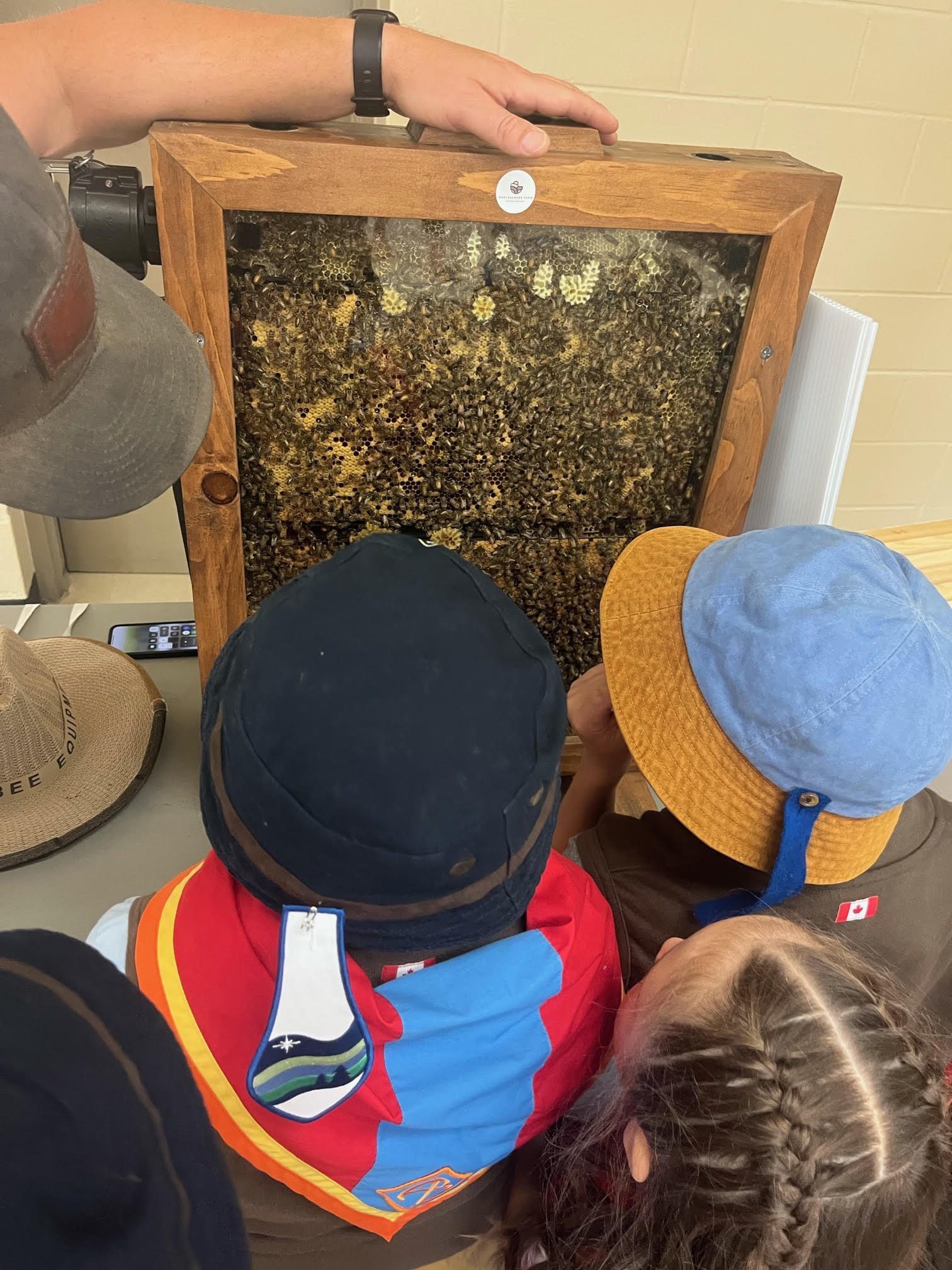 Honey Bee Experience - Maplescapes Farm Odessa